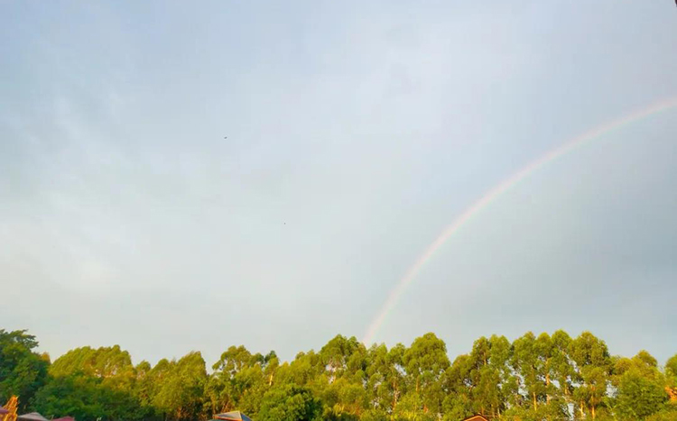 彩虹.jpg 彩虹.jpg