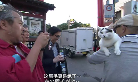 【互動(dòng)家園】紀(jì)實(shí)72小時(shí)，溫暖的對白