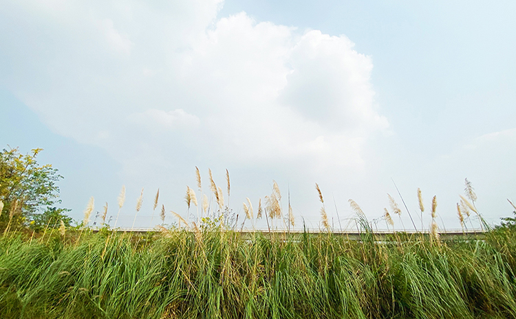 冬日暖陽.jpg 冬日暖陽.jpg