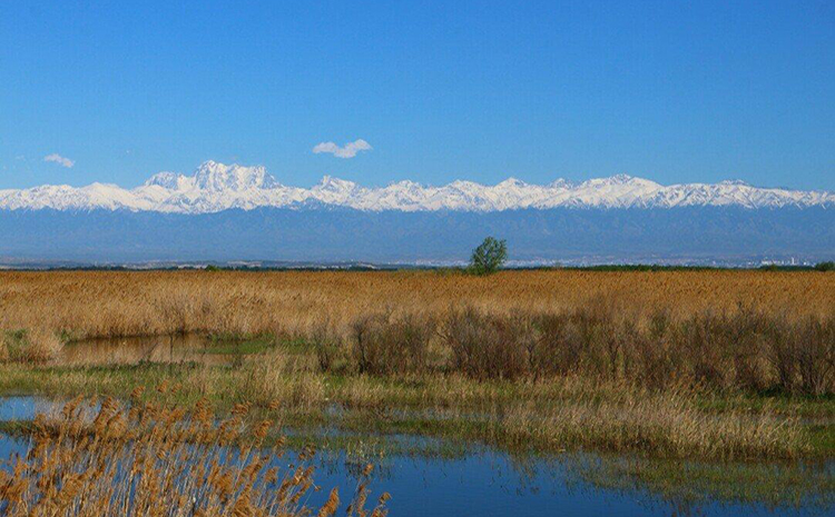 五家渠市青格達(dá)湖濕地保護(hù)站.jpg 五家渠市青格達(dá)湖濕地保護(hù)站.jpg